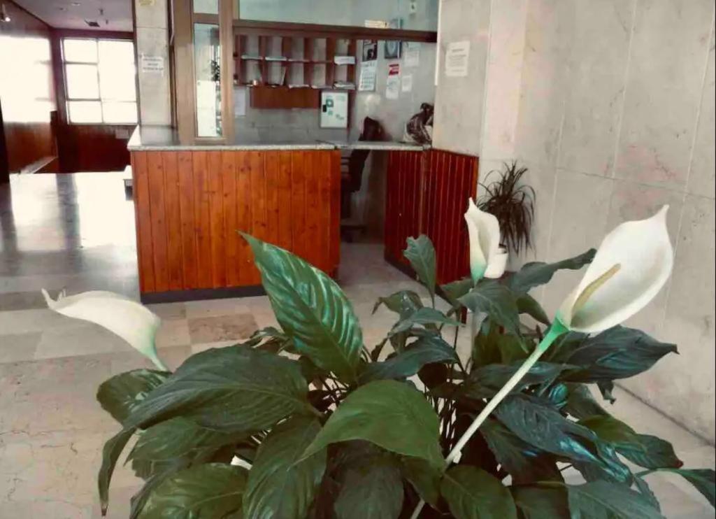 La Posada Del Viajero Daire Torremolinos Dış mekan fotoğraf